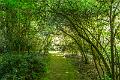 2018_05_26_arboretum de Balaine (0076)